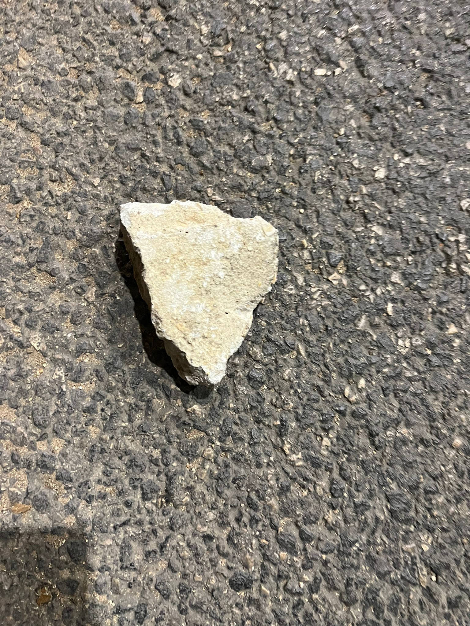 WhatsApp Image 2022-11-11 at 10.01.20.jpg